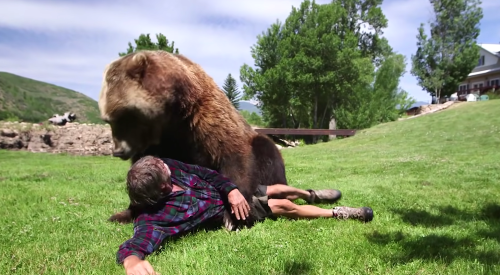 A man lies on the grass next to a large bear, both appearing relaxed in a sunny outdoor setting.